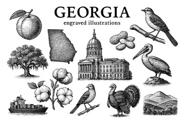 Engraved artistic representations of Georgia's landmarks, flora, and fauna showcasing the state's rich heritage and diversity