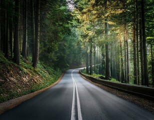 Obraz premium road in the forest