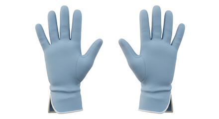 Obraz premium Isolated Pair of Surgical Gloves