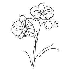 Simple orchid flower vector art singleline art