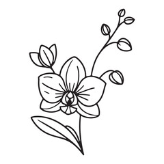 Simple orchid flower vector art singleline art