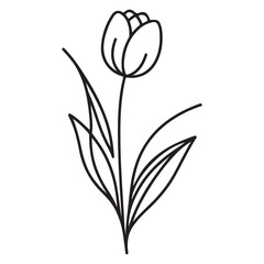 Simple tulip flower singleline art