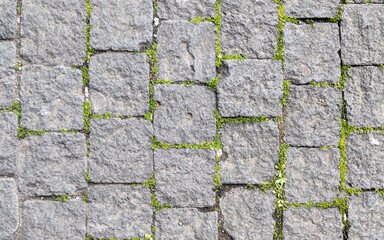 Pattern of stone pavement with grass