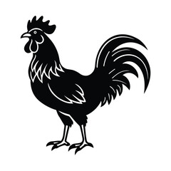 rooster vector illustration silhouette on white background