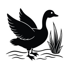 silhouette of duck flapping wings by pond