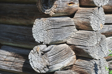 Corner of the wall of a wooden log house. Close-up of aged cracked round beams. Traditions of wooden house building