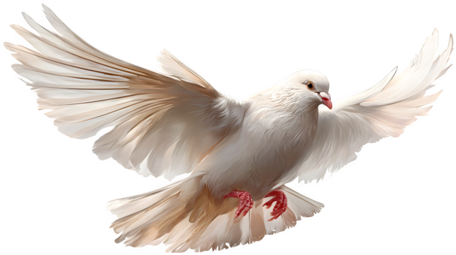 Flying dove illustrated in peaceful and elegant motion on a transparent background --ar 16:9 --v 7.0