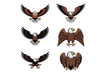 Obraz premium Set of eagle illustrations with various poses and designs
