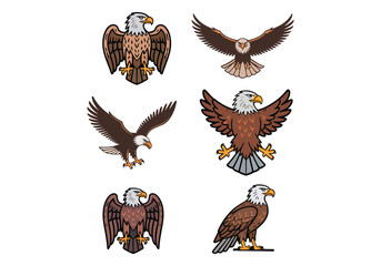Set of eagle illustrations in various poses and styles