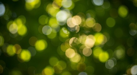 Obraz premium Abstract bokeh background of green and yellow out-of-focus circles, concept for nature themed designs and website backgrounds