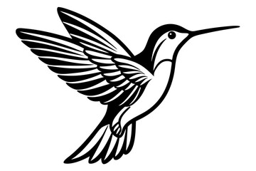 Obraz premium Hummingbird Minimalist Line Art