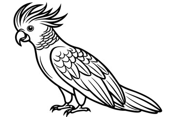 Obraz premium Cockatoo Simple Line Art