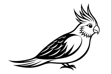 Fototapeta premium Cockatiel Simple Line Art