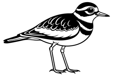 Killdeer Minimalist Vector Art
