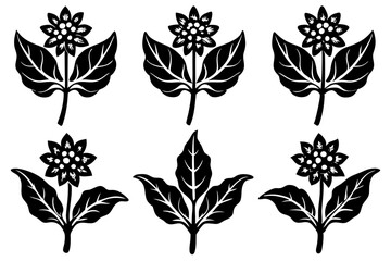 Lungwort Silhouette Vector Art