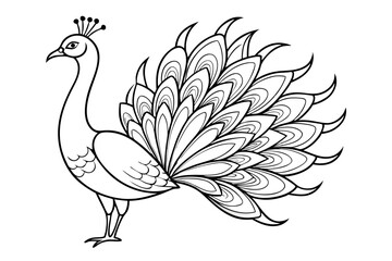 Naklejka premium Peacock Line Drawing Artwork