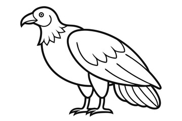 Fototapeta premium Turkey Vulture Simple Bird Art