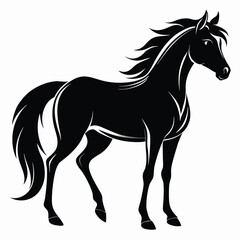 Obraz premium Black Horse Silhouette