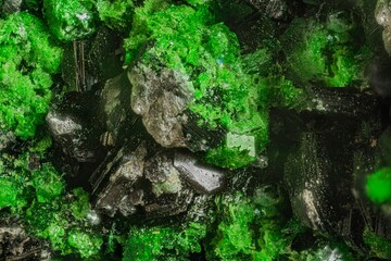 Mineral Uvarovite - Saranovskoe deposit. High magnification microphotography - scale of photography 10X