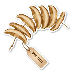 Dried porcini mushrooms sticker with string tag on white background – forest harvest illustration