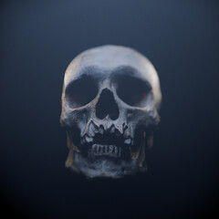 A horror-inspired 3D model of a human skull with optical distortion effects. The close-up highlights detailed anatomy, making it perfect for Halloween, archeology, or dark-themed content.