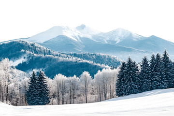 Fototapeta premium Majestic Snowy Mountains Winter Wonderland Serene Landscape Tranquil Beauty