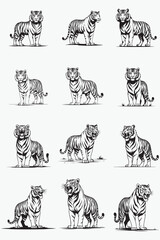 Wild vector illustration of tiger