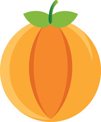 cantaloupe color vector icon on transparent background