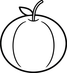 cantaloupe line vector icon on transparent background