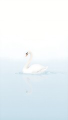 Elegant swan gracefully gliding on serene lake in soft pastel hues embodying tranquility and beauty