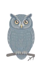 Fototapeta premium Minimalist wise owl illustration with luminous gold eyes on a gnarled branch set against a blue gray background