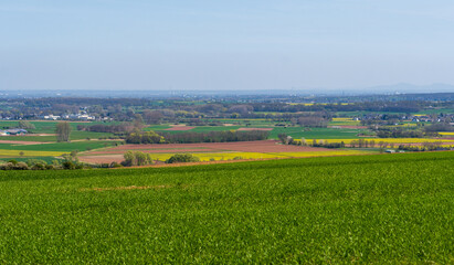 Agrar-Landschaft bei Bürvenich, Zülpich
