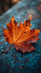 Vibrant maple leaf with detailed veins on textured blue metal Enhanced warm tones and soft lighting for a dramatic effect