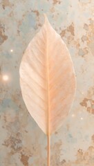 Obraz premium A serene close up of a delicate peach leaf on textured porcelain showcasing soft colors and intricate veins with a hint of gentle sunlight
