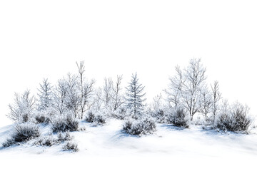 Obraz premium Serene Winter Wonderland Frosty Trees Peaceful Snowscape