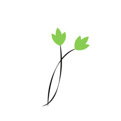 green leaf isolated on white