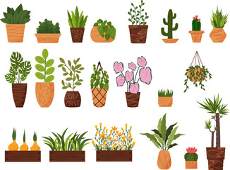 Indoor plants in pots for home, office, room decor. A set of flowers in clay pots, wooden boxes and hanging planters. Various types of plants - begonia, cacti, palms and bulbous plants, bindweed