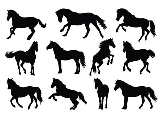 Horse Silhouettes Collection - Diverse Poses and Movements