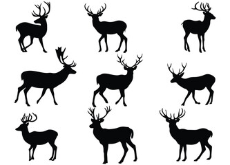 Deer Silhouettes Collection – Diverse Poses and Movements