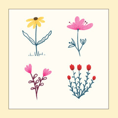 flower vector set with frame background
