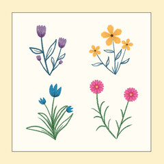 flower vector set with frame background