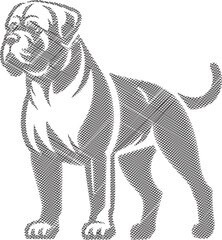 Elegant Bullmastiff dog Sketch in Stylized Design Illustration