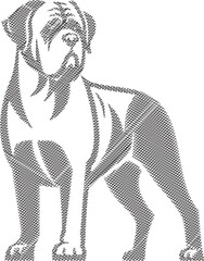English Mastiff Dog Scribble Style Illustration