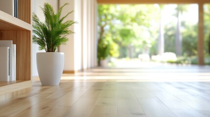 Bright room indoor plant modern architecture