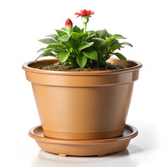 Fototapeta premium Plastic flower pot with a self-watering feature
