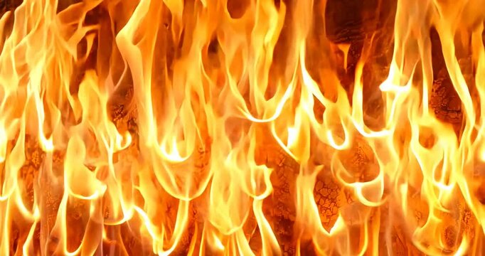 Dynamic flames dance in intense wall of fire, creating a dramatic heat wave effect