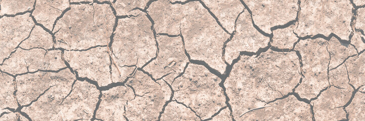 Fototapeta premium Texture of cracked dried soil. Dry ground with cracks. Brown rough surface of the soil during summer drought. Wide panoramic background for design. Ecology, climate change and global warming on Earth.