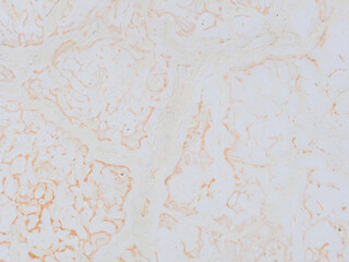 Dolomite texture. Natural rock with beautiful beige patterns on the surface. Polished flat stone. Classic luxury decoration building material. Solid stone background.