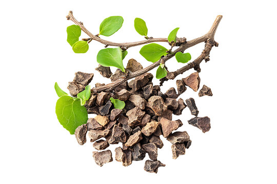 Guggulu Commiphora mukul Ayurveda herb isolated on transparent background
