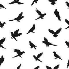 Obraz premium Seamless pattern featuring black parrot silhouettes in various poses